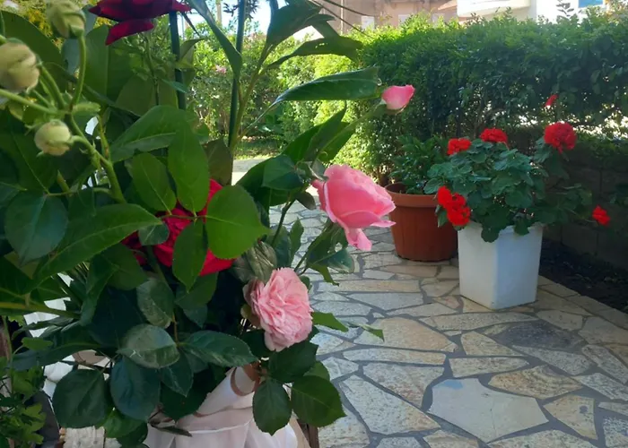 公寓 Dario's 奥里库姆